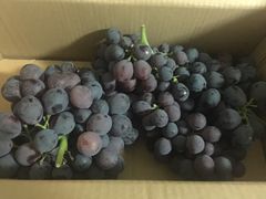 -成都美盈都市现代农业示范园