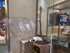 -藏猫猫咖啡主题馆(中央大道店)