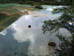 -黄龙山原始森林景区