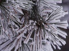 -安吉龙王山风景区