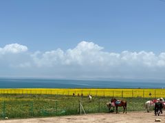-青海湖国家重点风景名胜区