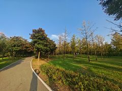 -洨河生态公园