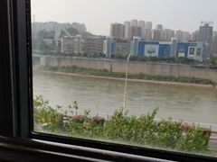 -李子坝梁山鸡(李子坝大鸡哥店)