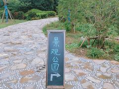 -桃花岛景观公园