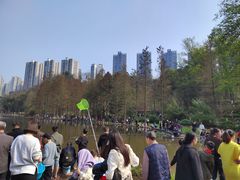-重庆彩云湖湿地公园