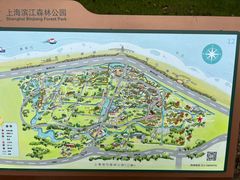 -上海滨江森林公园