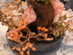 -觅唐MITONG(鸟巢店)