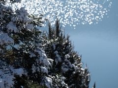 -九寨沟-树正沟