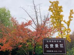-宝界山林公园