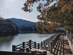 -白马涧龙池景区
