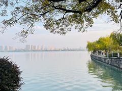 -无锡蠡湖国家湿地公园-蠡园