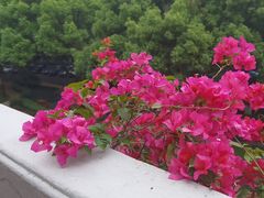-杭州香格里拉·香宫中餐厅