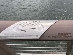 -星光大道