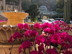 -深圳东部华侨城茵特拉根酒店