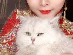 -大洋晶典(东街店)