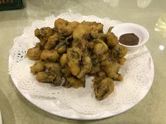 软炸海蛎子-蓬莱春(芝罘店)