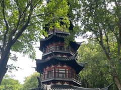 -上海佘山国家森林公园西佘山园