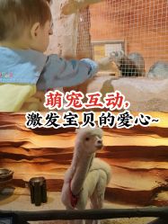 -酷嗒动物文化乐园(cutezoo西溪乐天城店)