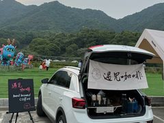 -龙坞茶村