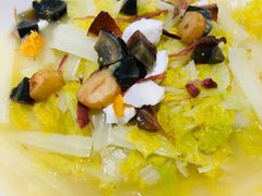 娃娃菜-蝶园·装修中(BFC外滩金融中心店)