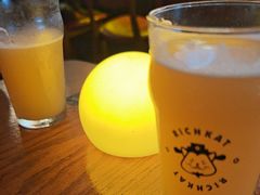 -猫员外精酿啤酒馆(国速荟店)