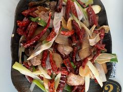 -蘑统田下·野生菌火锅