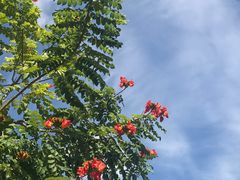 -亚马逊丛林水乐园