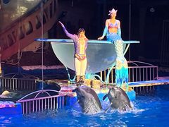 -大连圣亚海洋世界
