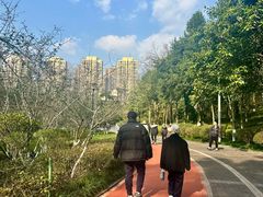 -龙头寺公园