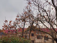 -太和山风景区