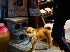 -云隐小厨·传统大理美食(复兴路店)