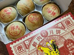 鲜肉月饼-泰康食品(南京东路店)