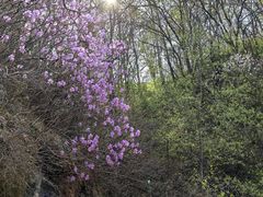 -玉渡山自然风景区