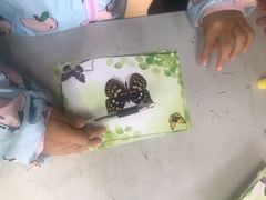 -上海昆虫博物馆