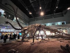 -自贡恐龙博物馆