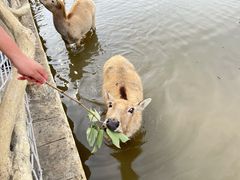 -宁波杭州湾国家湿地公园