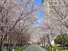 -南京明基医院
