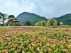 -广州市石门国家森林公园