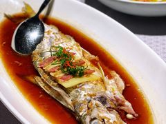 酒酿鲜力鱼-上味·小海小鲜(中联店)