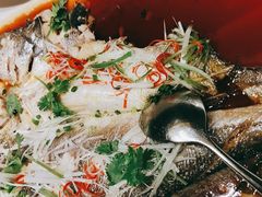 -马仕玖煲·融合菜·酥不腻烤鸭(人大店)