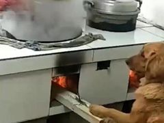 -大漠风烤肉火锅自助餐厅(鹰展店)