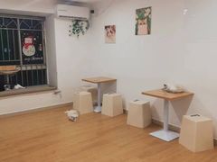 -有喵·猫咖·狗咖·30几只猫10只小狗(岗厦店)