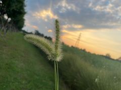 -汉长安城未央宫国家考古遗址公园