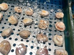 -SEA西雅图海鲜自助餐厅(海乐世界店)