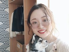 -柴犬小屋·柴餐厅·狗咖食堂(金鼎广场店)