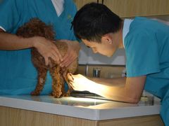 -惠康宠物医院(华能路店)