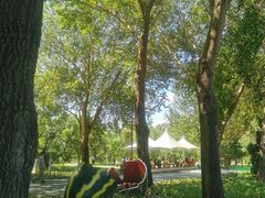 -长春公园(普阳街道)