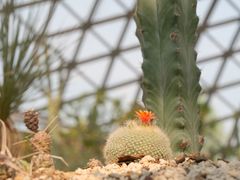 -上海辰山植物园