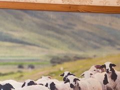 -313羊庄鲜羊火锅·鲜羊肉烧烤(李村店)