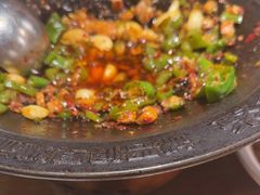 -聚鑫朋酸菜肥肠(文艺路口店)